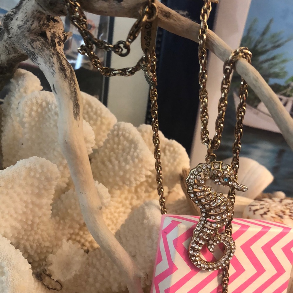 Lilly Pulitzer fashion necklace